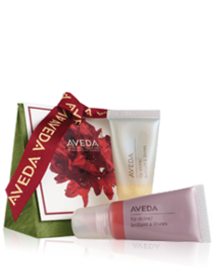 - Marion Salon Spa in Salt Point, NY An Aveda gift set featuring a small red and white gift bag alongside pink and white product tubes. - Marion Salon Spa in Salt Point, NY